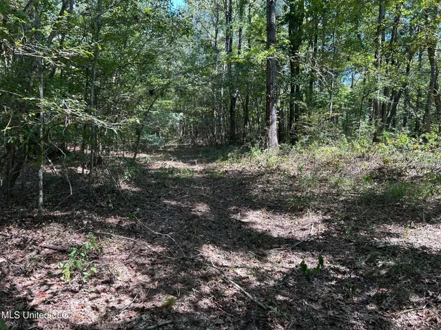 $310,000 | 2928 Stokes Cemetary Road, Durant, MS 39063