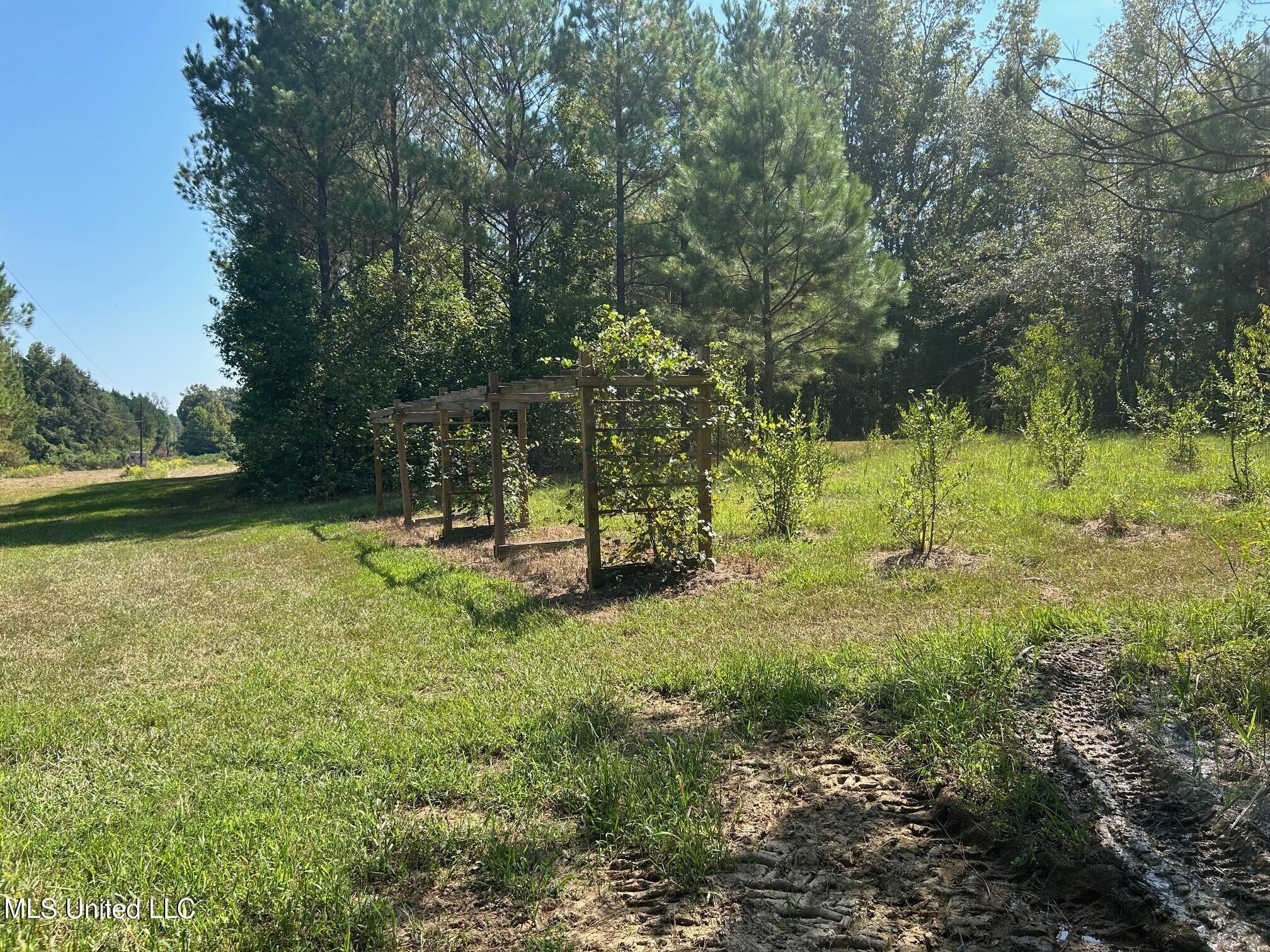 2928 Stokes Cemetary Road Durant, MS 39063 - Photo 31 of 86 gg