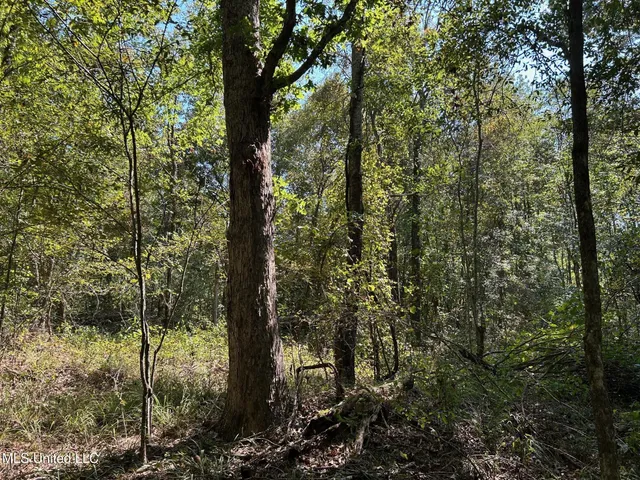 $310,000 | 2928 Stokes Cemetary Road, Durant, MS 39063