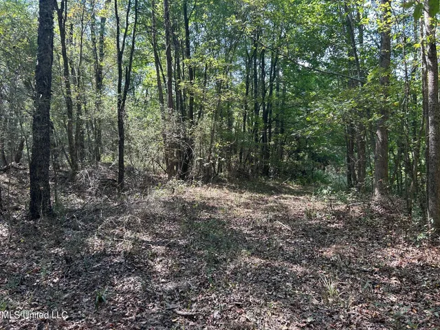 $310,000 | 2928 Stokes Cemetary Road, Durant, MS 39063