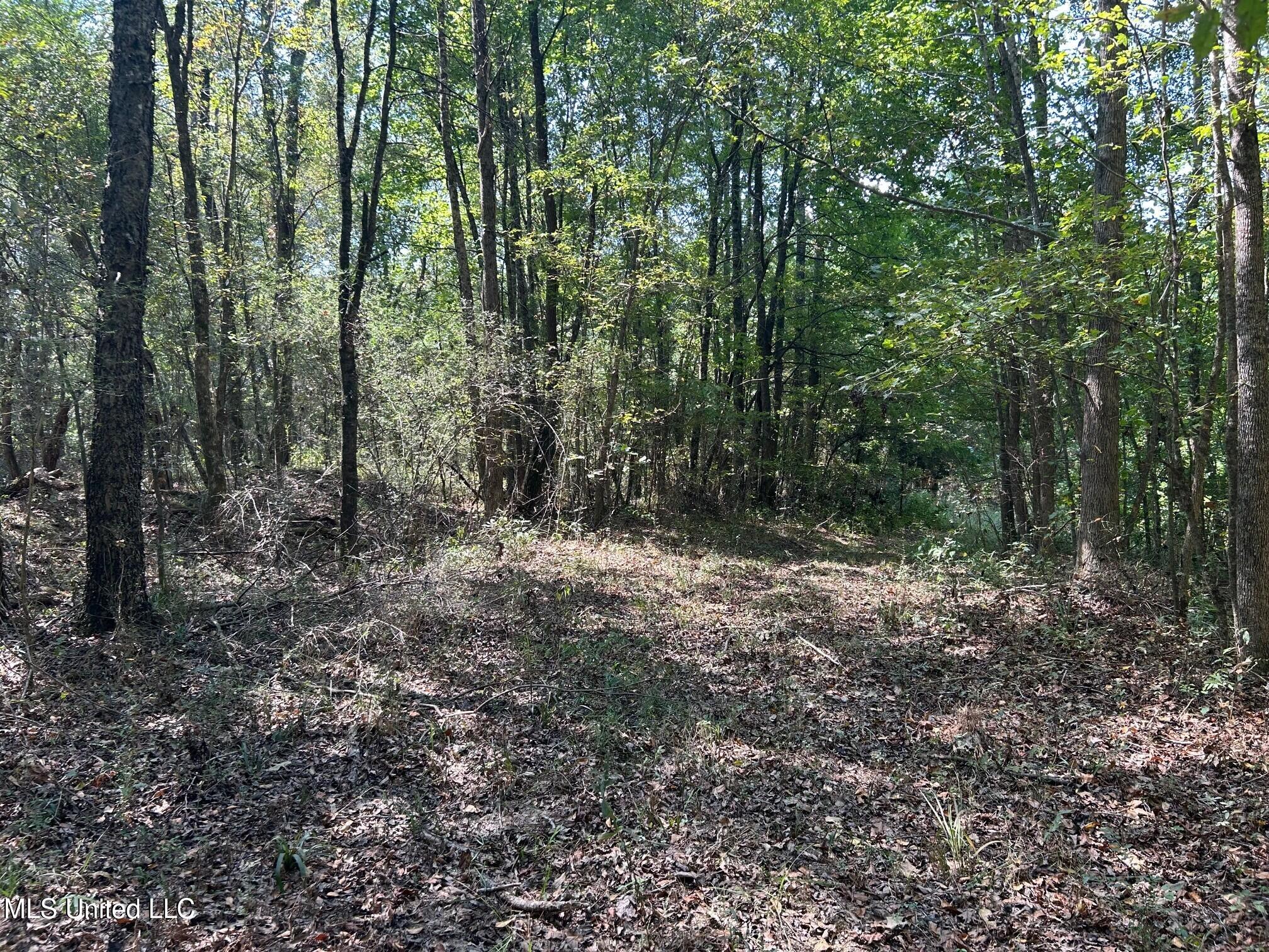 2928 Stokes Cemetary Road Durant, MS 39063 - Photo 34 of 86 i