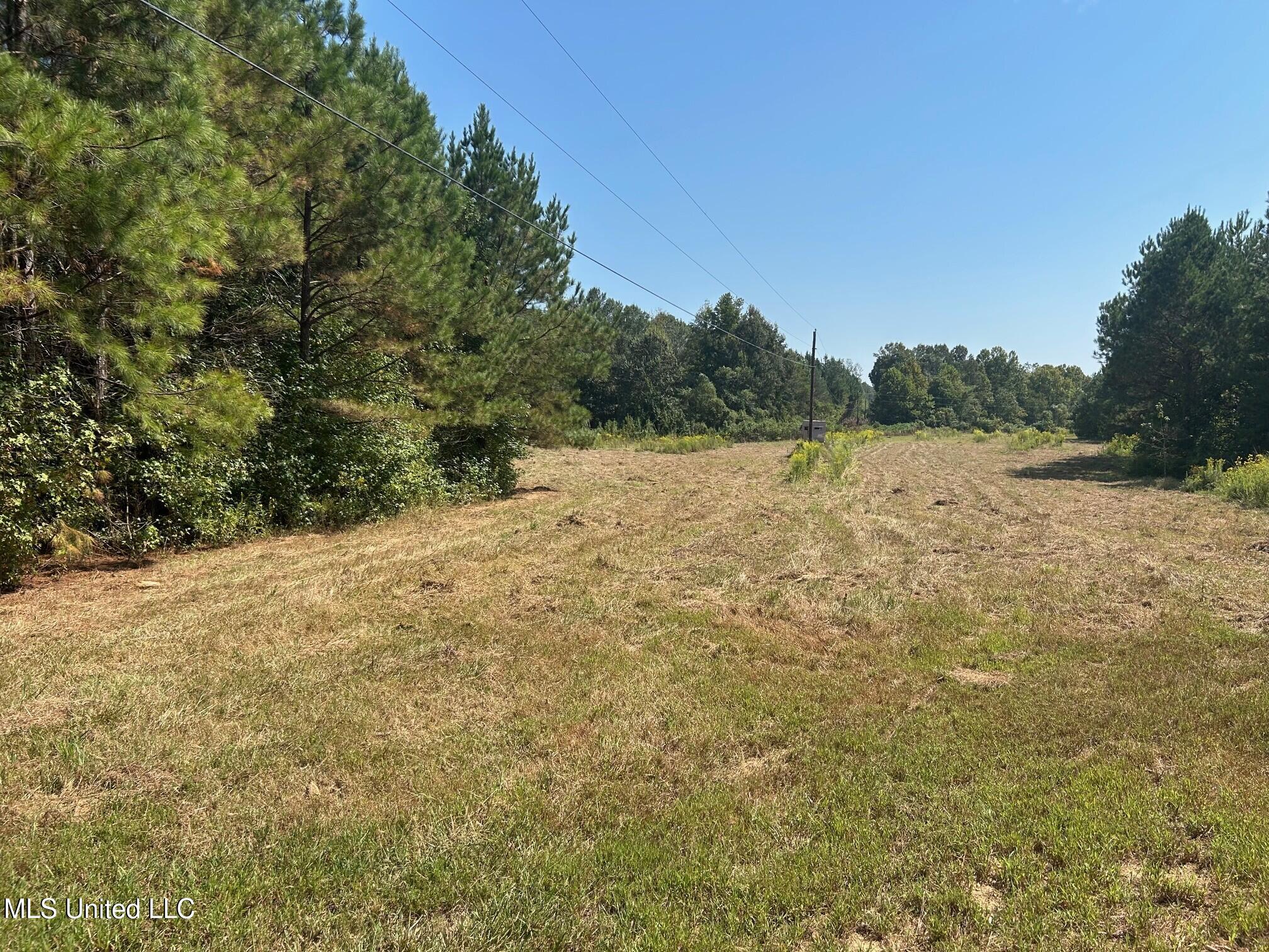 2928 Stokes Cemetary Road Durant, MS 39063 - Photo 35 of 86 ii