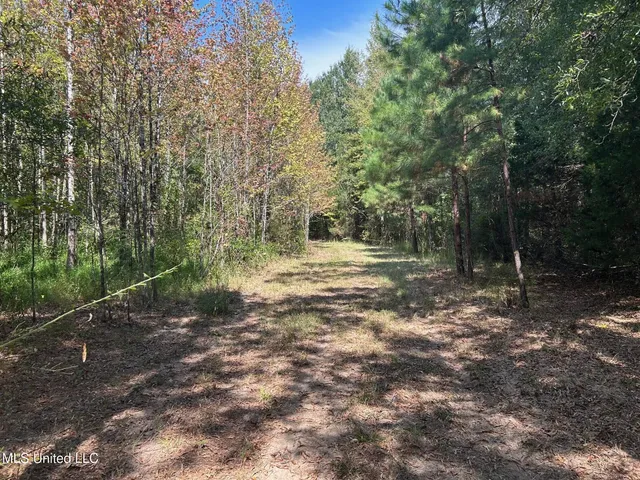 $310,000 | 2928 Stokes Cemetary Road, Durant, MS 39063