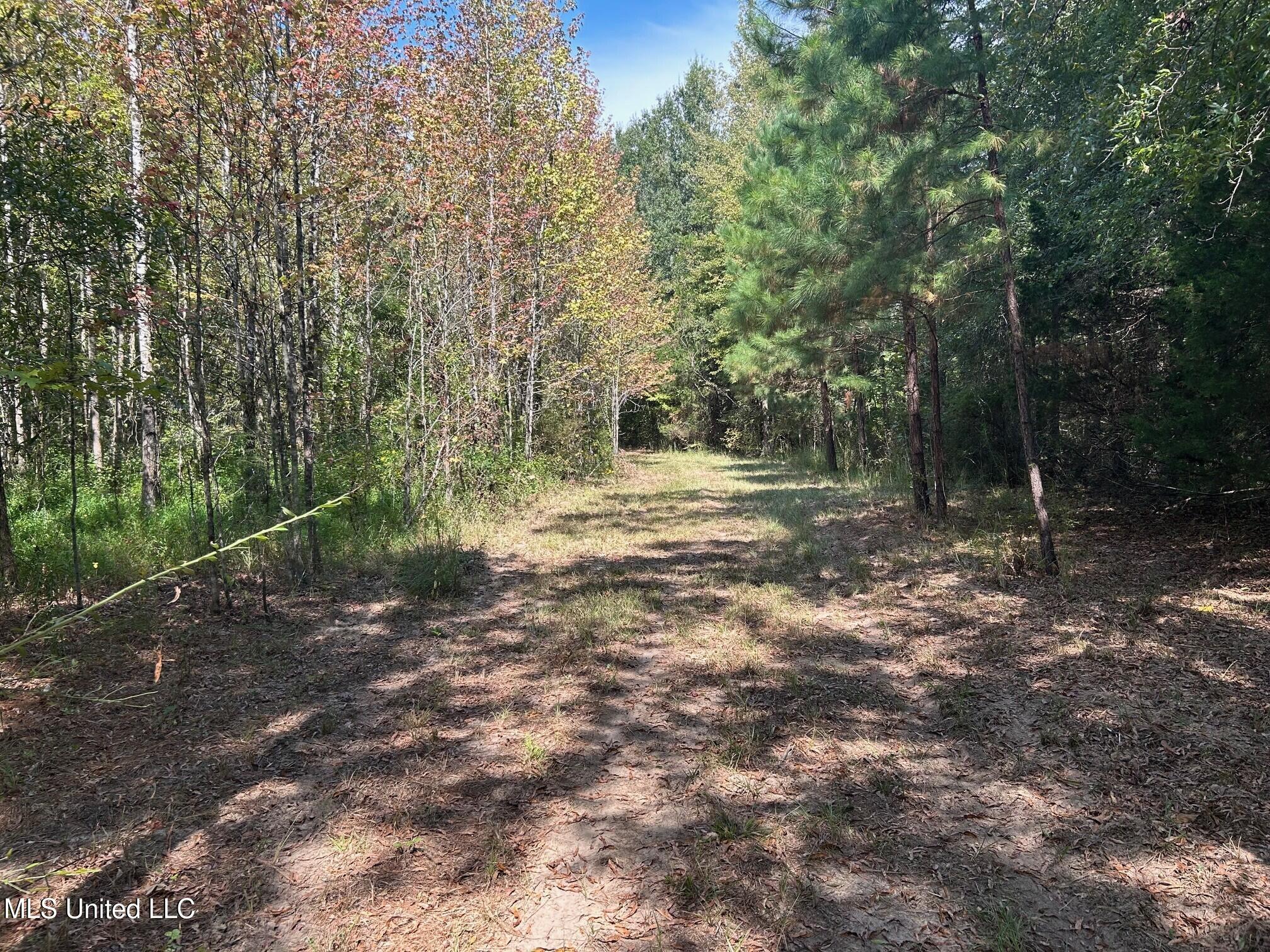 2928 Stokes Cemetary Road Durant, MS 39063 - Photo 37 of 86 k