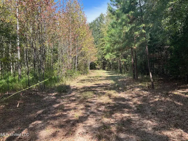 $310,000 | 2928 Stokes Cemetary Road, Durant, MS 39063