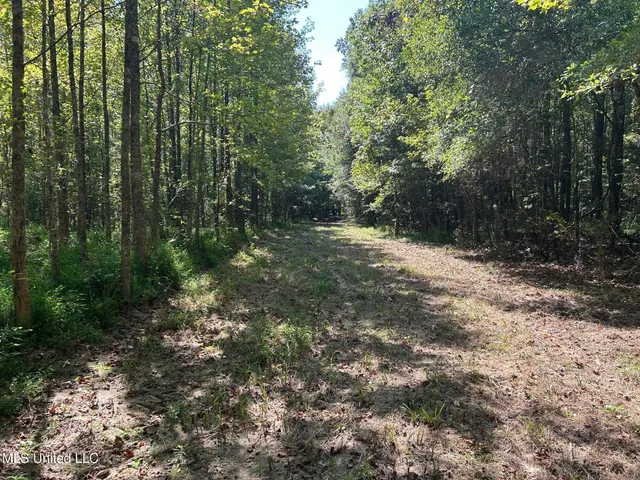 $310,000 | 2928 Stokes Cemetary Road, Durant, MS 39063