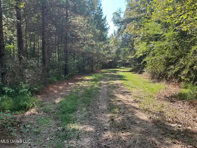 $310,000 | 2928 Stokes Cemetary Road, Durant, MS 39063