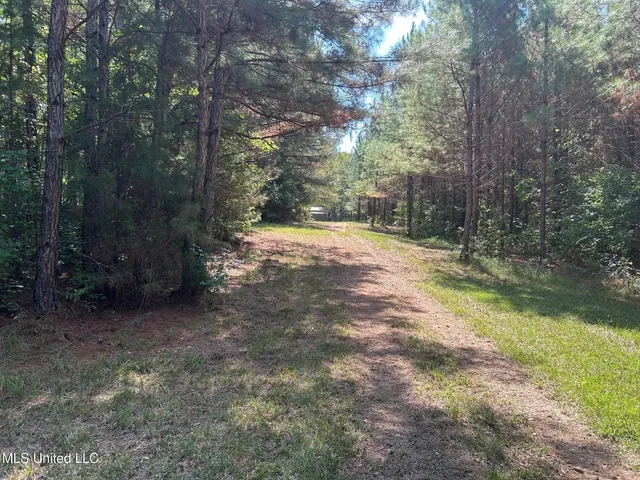 $310,000 | 2928 Stokes Cemetary Road, Durant, MS 39063
