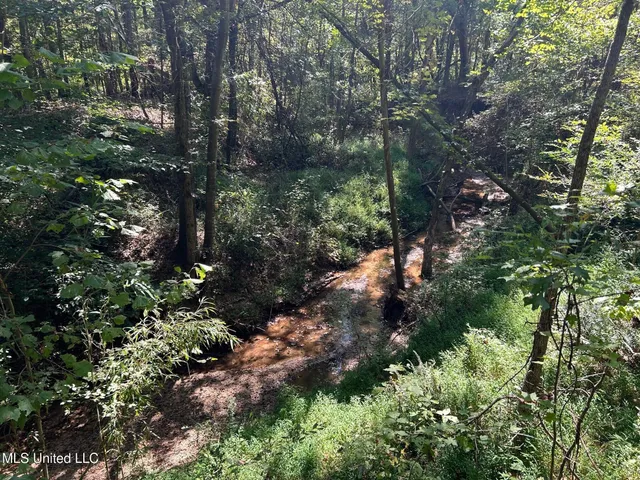 $310,000 | 2928 Stokes Cemetary Road, Durant, MS 39063