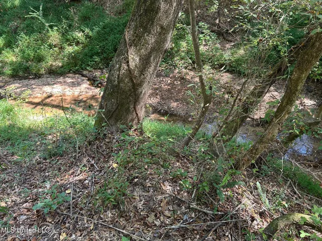 $310,000 | 2928 Stokes Cemetary Road, Durant, MS 39063