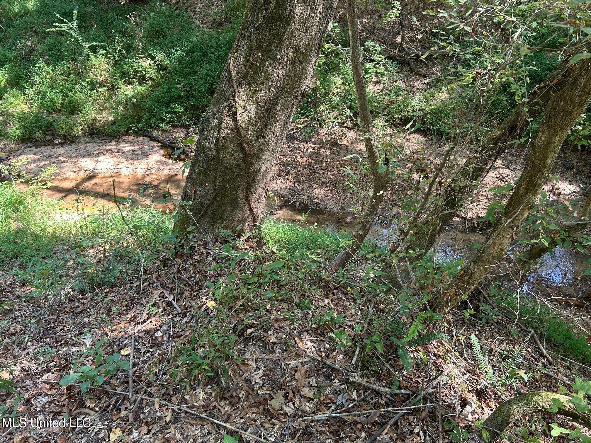 2928 Stokes Cemetary Road Durant, MS 39063 - Photo 44 of 86 s