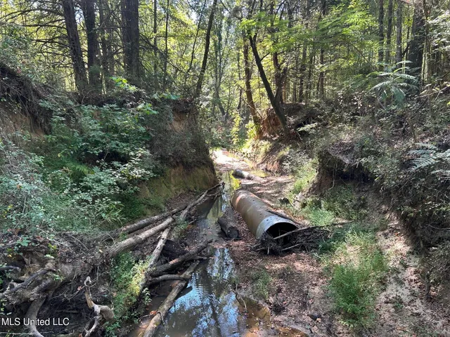 $310,000 | 2928 Stokes Cemetary Road, Durant, MS 39063