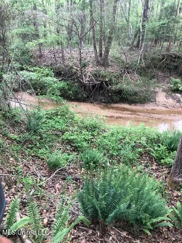 $310,000 | 2928 Stokes Cemetary Road, Durant, MS 39063