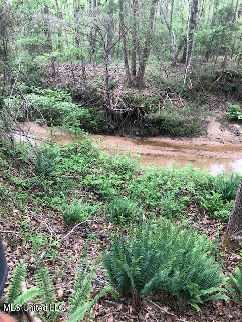 2928 Stokes Cemetary Road Durant, MS 39063 - Photo 46 of 86 IMG_3609
