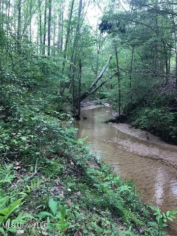 $310,000 | 2928 Stokes Cemetary Road, Durant, MS 39063