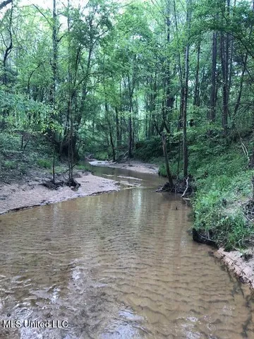 $310,000 | 2928 Stokes Cemetary Road, Durant, MS 39063