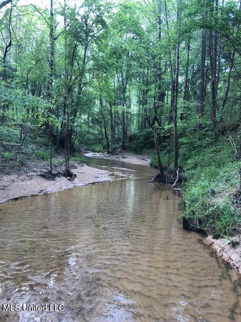 2928 Stokes Cemetary Road Durant, MS 39063 - Photo 49 of 86 IMG_3617