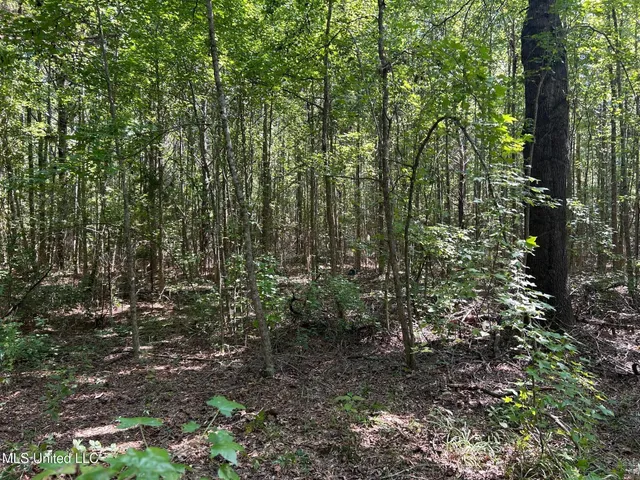 $310,000 | 2928 Stokes Cemetary Road, Durant, MS 39063