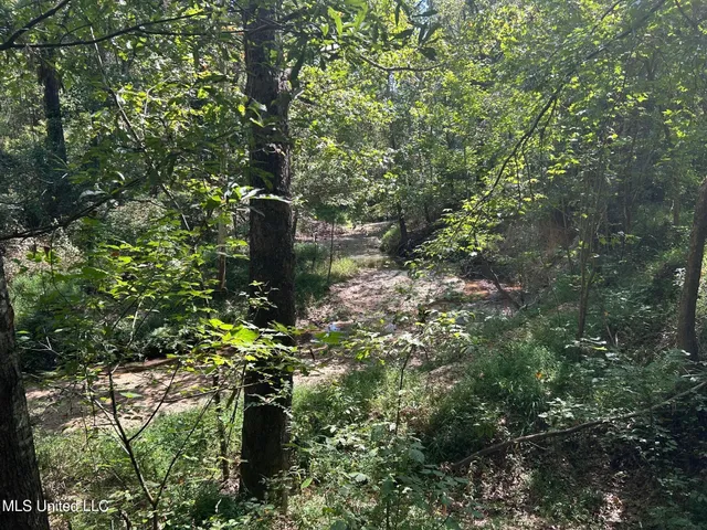 $310,000 | 2928 Stokes Cemetary Road, Durant, MS 39063