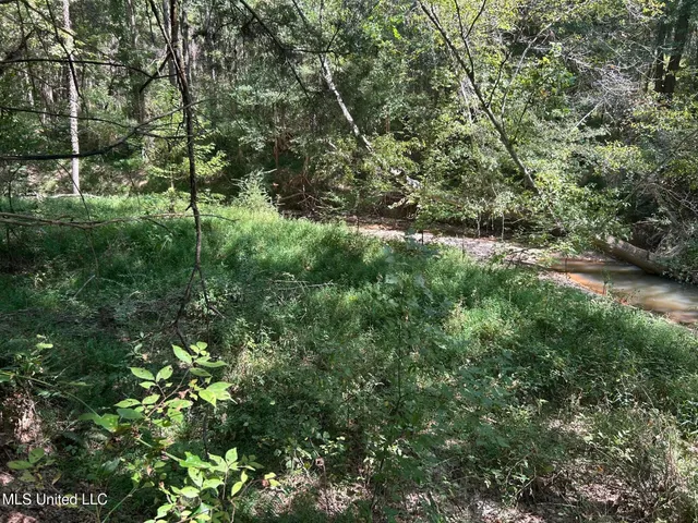 $310,000 | 2928 Stokes Cemetary Road, Durant, MS 39063