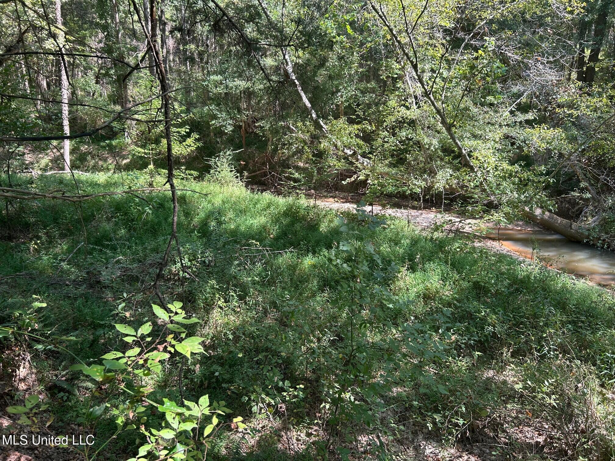 2928 Stokes Cemetary Road Durant, MS 39063 - Photo 53 of 86 y