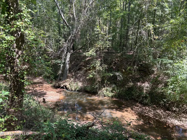 $310,000 | 2928 Stokes Cemetary Road, Durant, MS 39063