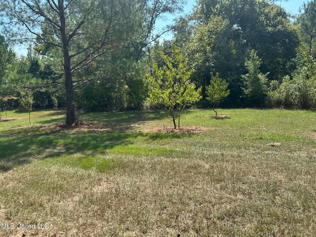 $310,000 | 2928 Stokes Cemetary Road, Durant, MS 39063