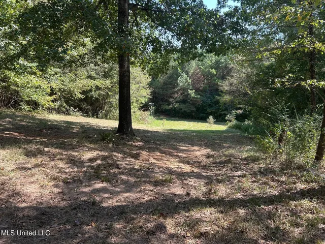 $310,000 | 2928 Stokes Cemetary Road, Durant, MS 39063