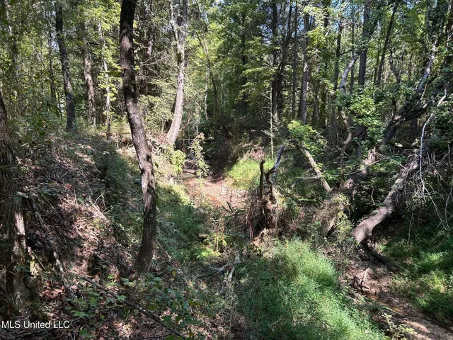 $310,000 | 2928 Stokes Cemetary Road, Durant, MS 39063