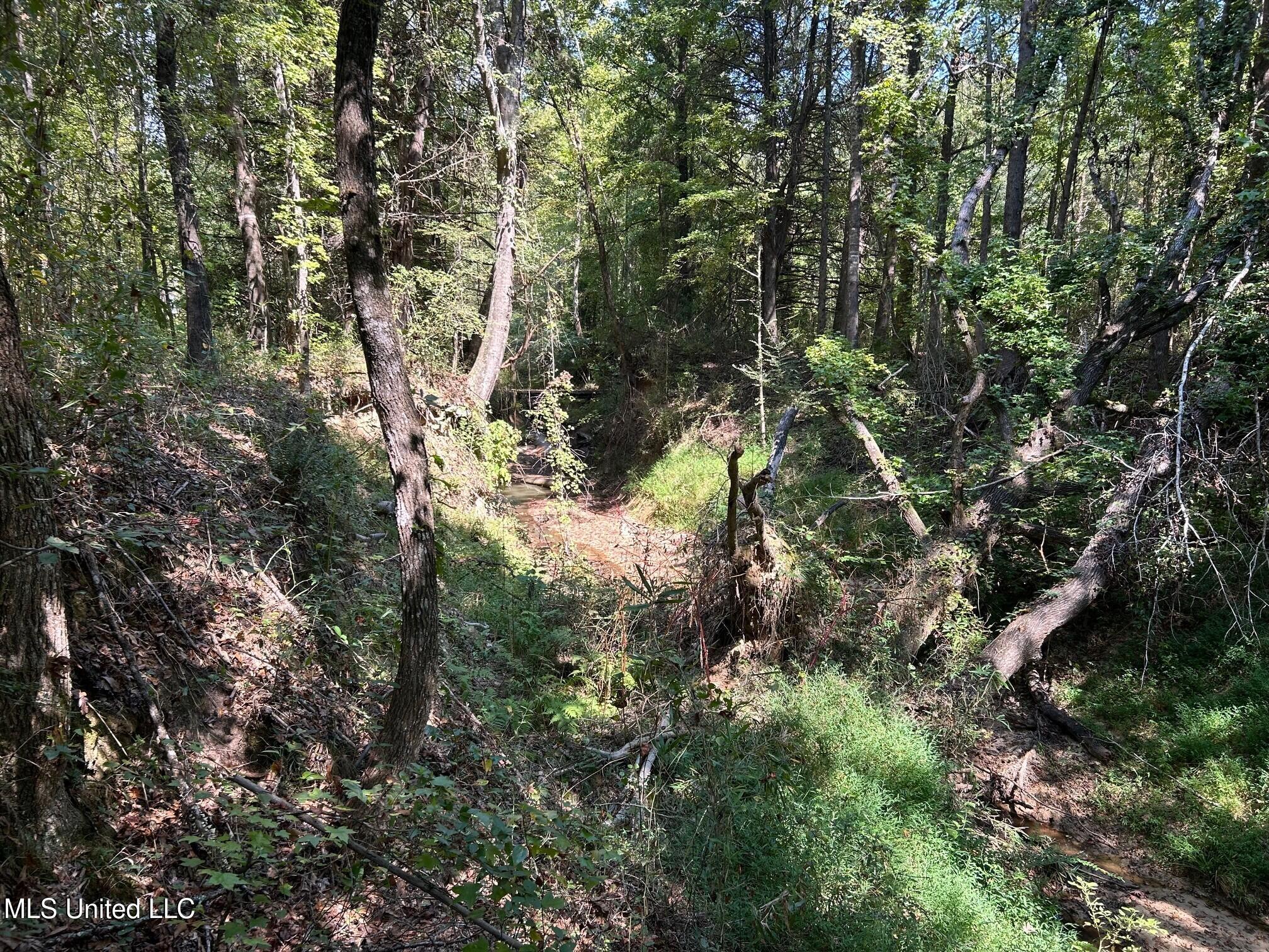 2928 Stokes Cemetary Road Durant, MS 39063 - Photo 57 of 86 t