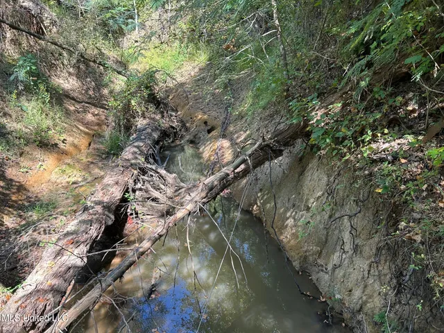 $310,000 | 2928 Stokes Cemetary Road, Durant, MS 39063