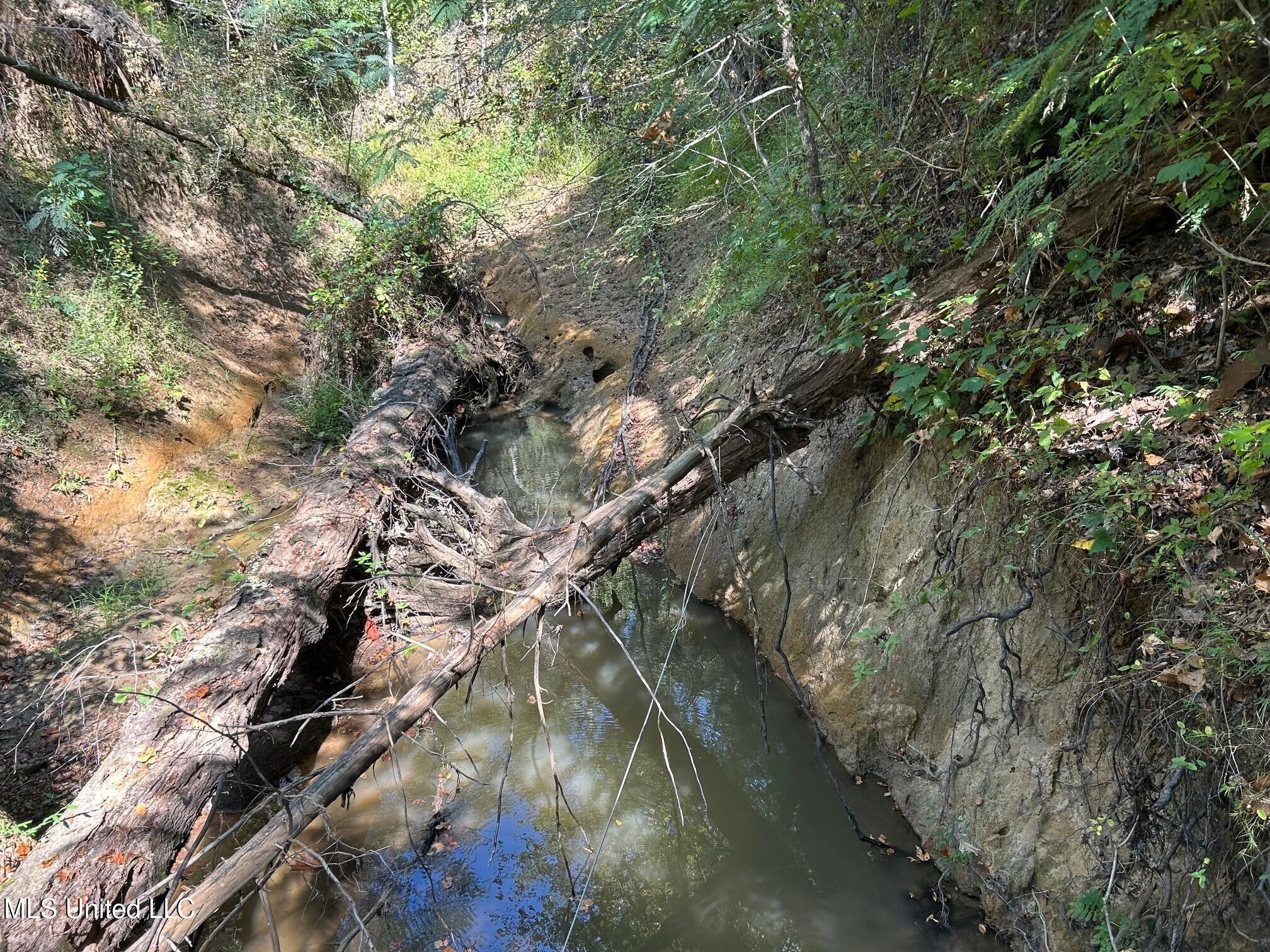 2928 Stokes Cemetary Road Durant, MS 39063 - Photo 58 of 86 u