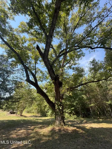 $310,000 | 2928 Stokes Cemetary Road, Durant, MS 39063