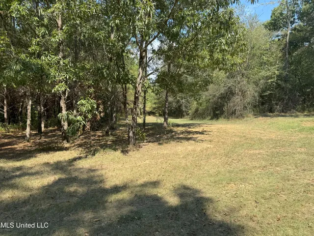 $310,000 | 2928 Stokes Cemetary Road, Durant, MS 39063
