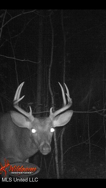 2928 Stokes Cemetary Road Durant, MS 39063 - Photo 71 of 86 IMG_2613
