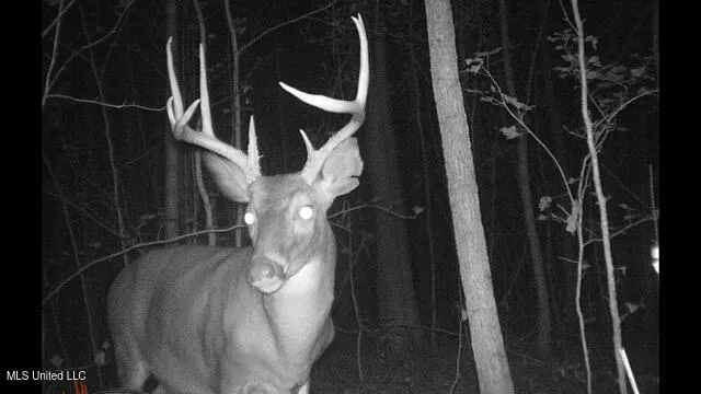 $310,000 | 2928 Stokes Cemetary Road, Durant, MS 39063