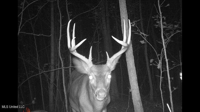 2928 Stokes Cemetary Road Durant, MS 39063 - Photo 74 of 86 IMG_2616