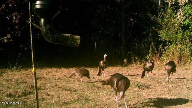 $310,000 | 2928 Stokes Cemetary Road, Durant, MS 39063