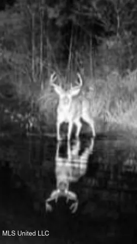 $310,000 | 2928 Stokes Cemetary Road, Durant, MS 39063