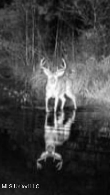 2928 Stokes Cemetary Road Durant, MS 39063 - Photo 77 of 86 IMG_2619