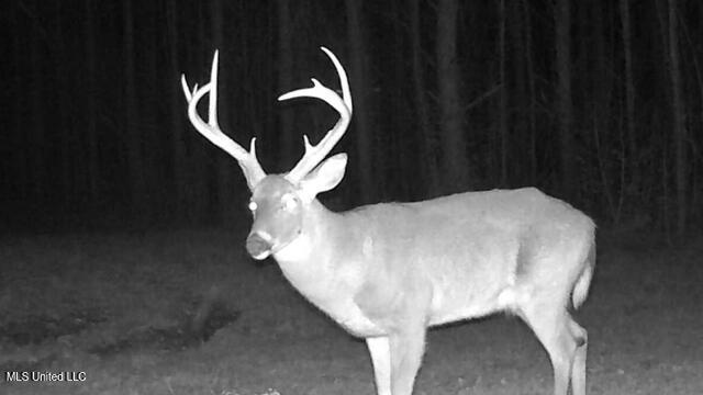 2928 Stokes Cemetary Road Durant, MS 39063 - Photo 78 of 86 IMG_2620