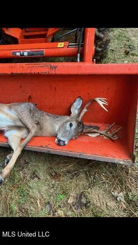 $310,000 | 2928 Stokes Cemetary Road, Durant, MS 39063