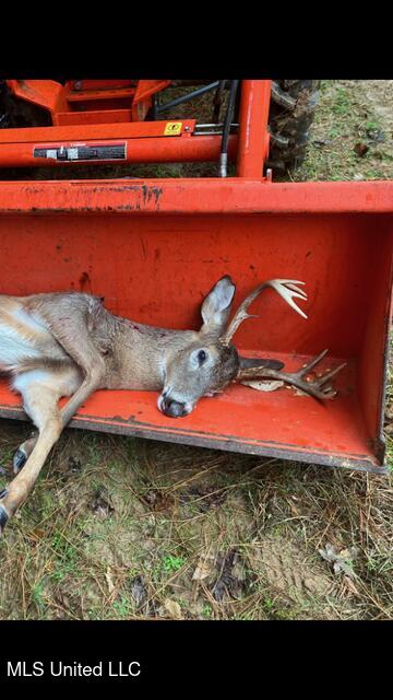 2928 Stokes Cemetary Road Durant, MS 39063 - Photo 80 of 86 IMG_2622