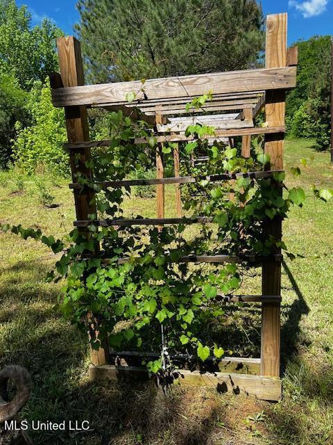 2928 Stokes Cemetary Road Durant, MS 39063 - Photo 81 of 86 IMG_3863