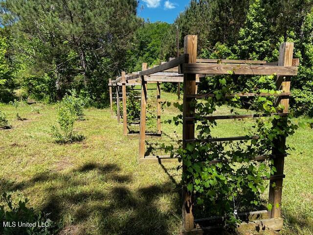 2928 Stokes Cemetary Road Durant, MS 39063 - Photo 82 of 86 IMG_3864
