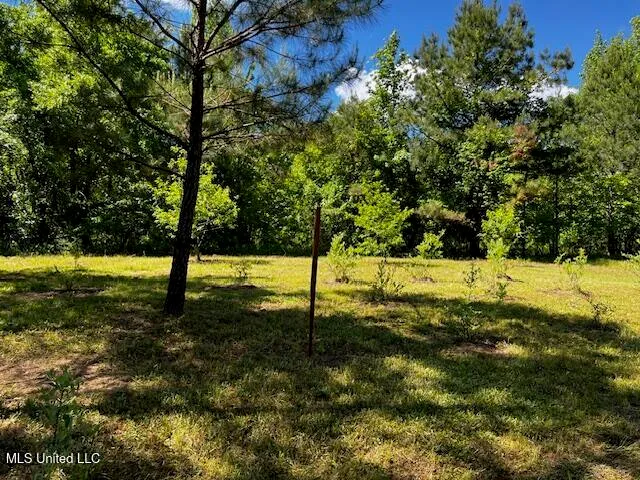 $310,000 | 2928 Stokes Cemetary Road, Durant, MS 39063