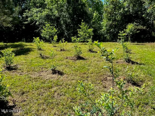 $310,000 | 2928 Stokes Cemetary Road, Durant, MS 39063