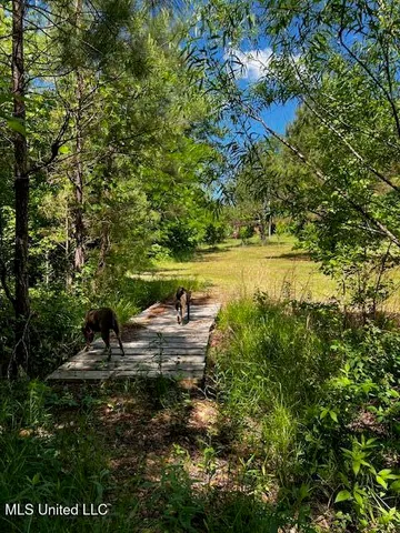 $310,000 | 2928 Stokes Cemetary Road, Durant, MS 39063