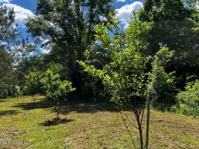 2928 Stokes Cemetary Road Durant, MS 39063 - Photo 86 of 86 IMG_3881