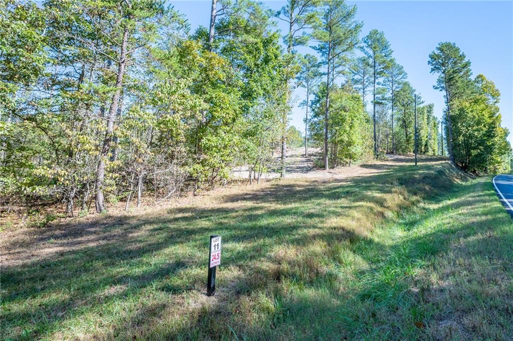 3871 Hwy 140 Ne Rydal Ga 30171 Northeast Rydal, GA 30171 - Photo 12 of 12 a fire hydrant in the middle of a field